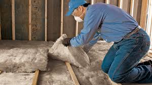 Best Eco-Friendly Insulation Solutions  in Dexter, OR